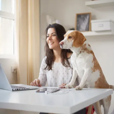 Pet-Friendly Carpet: What Actually Works (And What's Just Marketing)