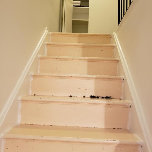 Carpet Installation & Replacement Services in Baltimore County